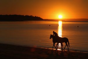 MELBOURNE, AUSTRALIA - OCTOBER 18: A track rider holds tight another horse while cantering along the foreshore during a training session at Balnarring Beach on October 18, 2017 in Melbourne, Australia. Balnarring Beach is a remote beach on the Mornington Peninsula of Victoria. Regional trainers are well known for using the beach as part of preparations for race meets because of its shallow water and secluded location. In the lead up to and during the Spring Carnival in Melbourne trainers will go to the beach early in the morning and late in the evening. (Photo by Michael Dodge/Getty Images)