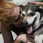 BATON ROUGE, LA - APRIL 17: Holly Quaglia (L) kisses her dog Lily who was rescued from New Orleans after Hurricane Katrina during a rally to support Senate Bill 607 by U.S. Senator Clo Fontenot (R-LA) at the Capitol Building April 17, 2006 in Baton Rouge, Louisiana. The bill would require plans for the humane evacuation and sheltering of service animals and household pets in a time of disaster. (Photo by Chris Graythen/Getty Images)