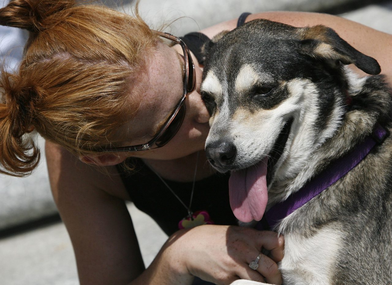 BATON ROUGE, LA - APRIL 17: Holly Quaglia (L) kisses her dog Lily who was rescued from New Orleans after Hurricane Katrina during a rally to support Senate Bill 607 by U.S. Senator Clo Fontenot (R-LA) at the Capitol Building April 17, 2006 in Baton Rouge, Louisiana. The bill would require plans for the humane evacuation and sheltering of service animals and household pets in a time of disaster. (Photo by Chris Graythen/Getty Images)