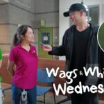 Wags & Whiskers Wednesday with SSPCA...
